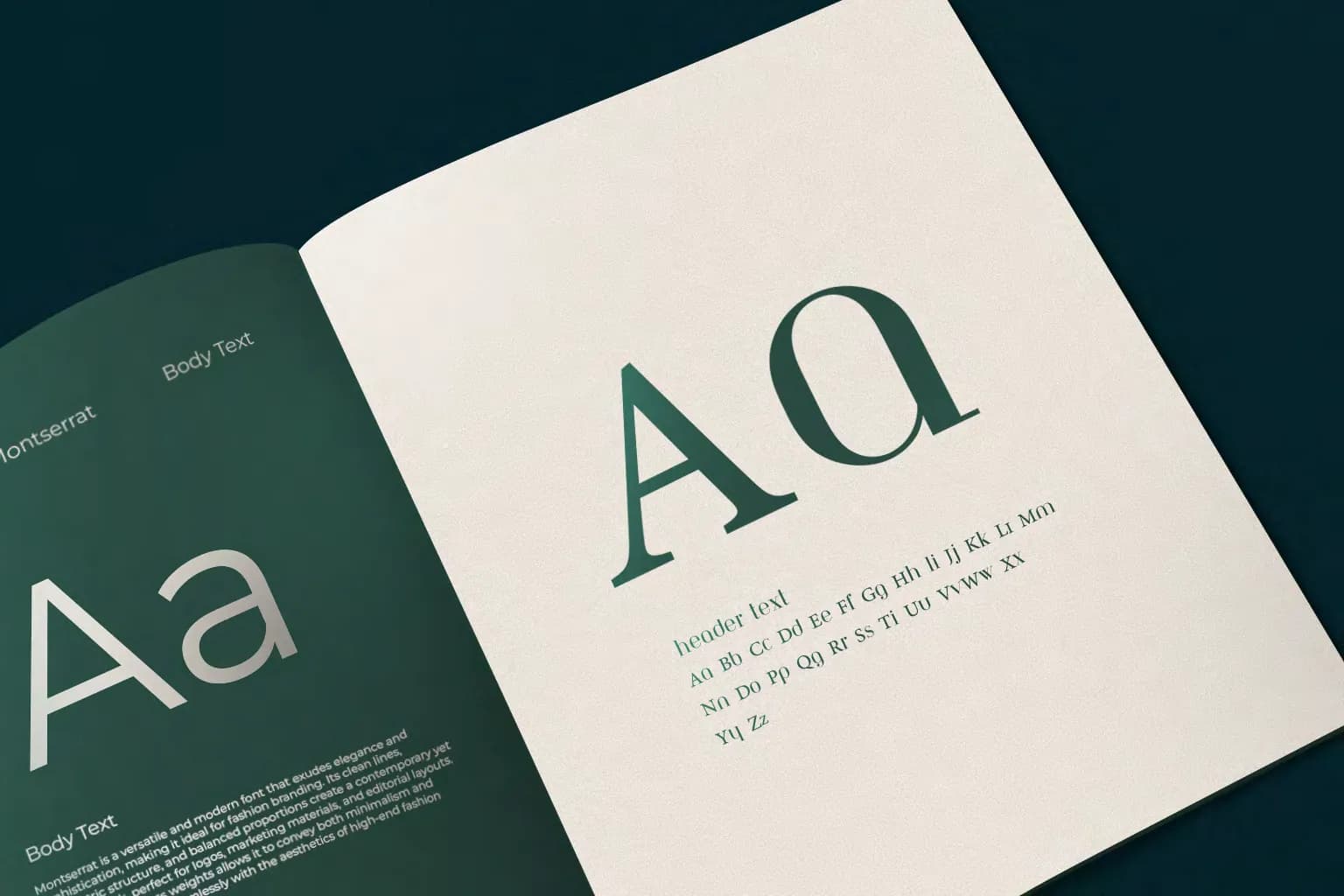 Moements brand book open on the typography pages