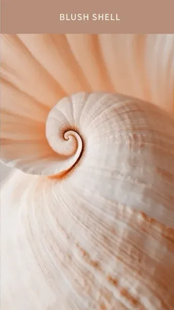 Pearelle colour inspiration: Blush Shell